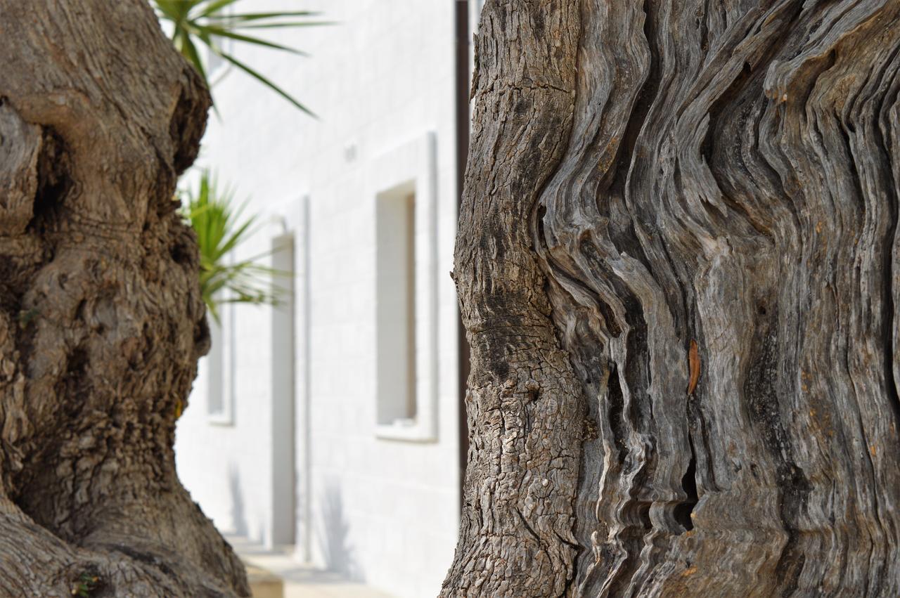 Masseria Torrepietra Monopoli Bagian luar foto