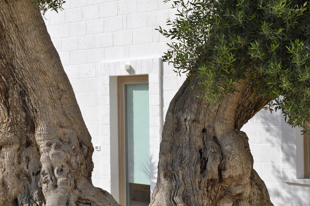Masseria Torrepietra Monopoli Bagian luar foto